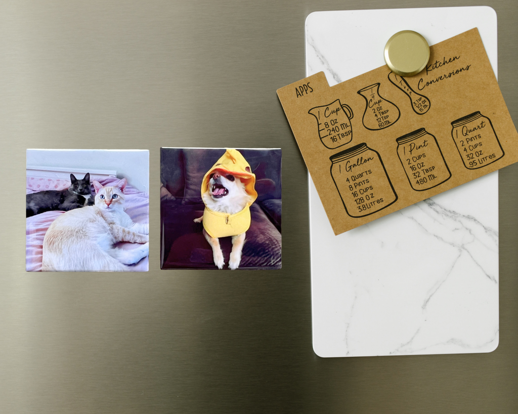 Custom Photo Magnets (Set of 9)